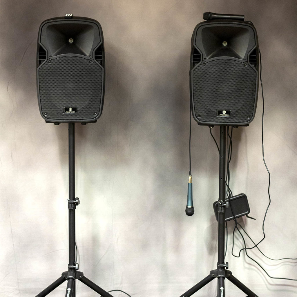Bluetooth Speaker/Sound System