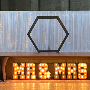 Lighted Mr & Mrs Sign Wedding Decor Occasions and Stems