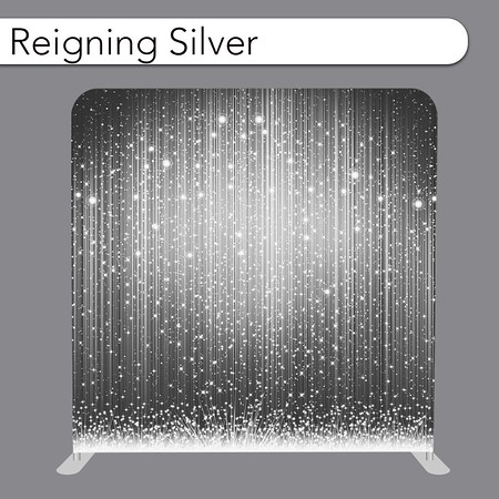 Reigning Silver Photo Booth Backdrop